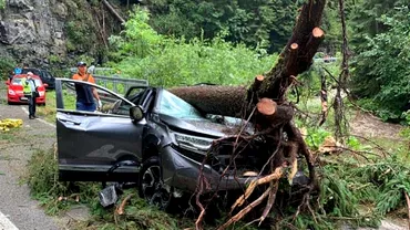 Furtuna devastatoare pe Transalpina O femeie a murit dupa ce un copac a cazut peste masina cu care se deplasa
