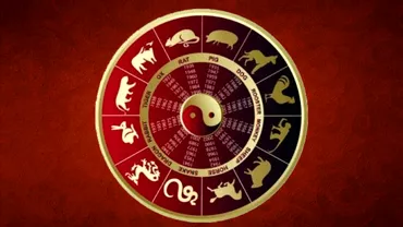 Zodiac chinezesc duminica 20 iunie 2021 Maimuta trebuie sa renunte la orgoliu
