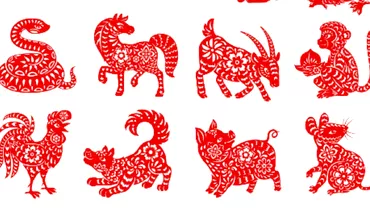 Zodiac chinezesc pentru marti 26 iulie 2022 Tigrii sar putea imbogati