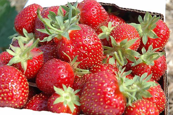 Οι πρώτες ρουμανικές φράουλες έφτασαν στις αγορές.  Κοστίζει πάνω από ένα κιλό χοιρινό λαιμό