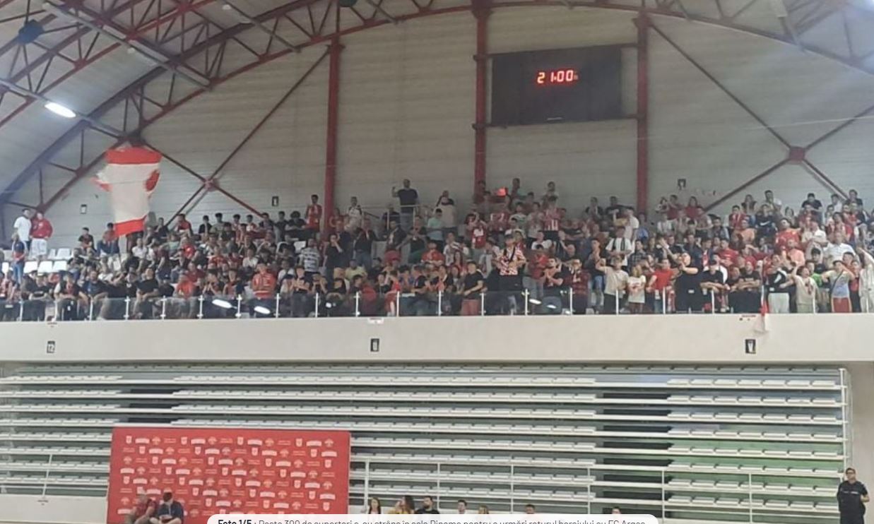 Fanii urmăresc meciul în Sala Dinamo. Sursa foto: Gsp.ro