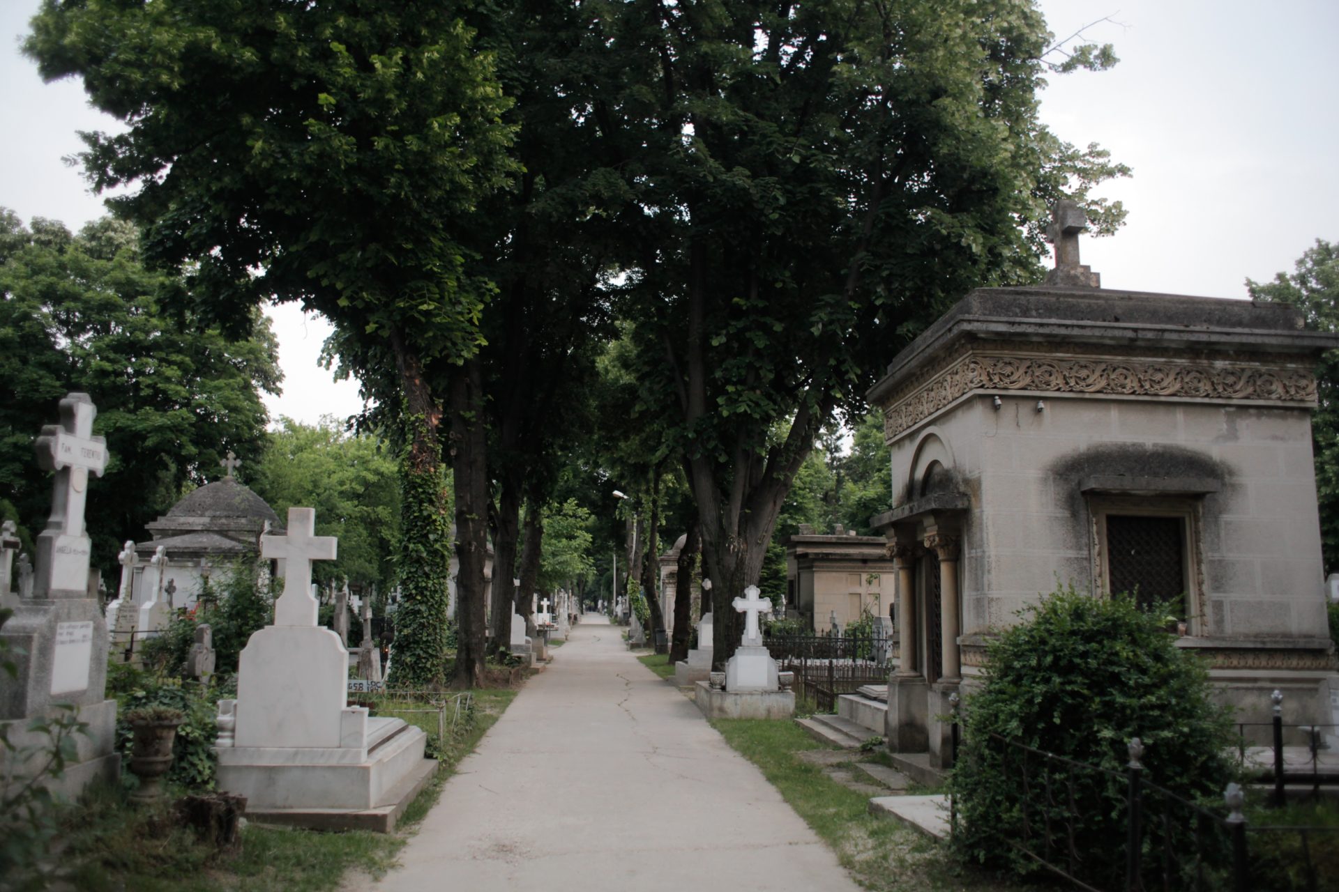 Descoperire fantastică în cimitirul Bellu:  “Este un miracol că nu l-am pierdut”