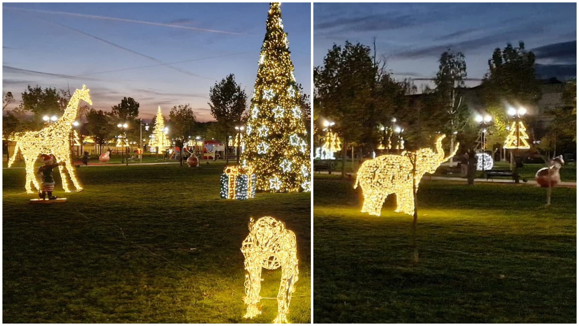 Orașul din România în care autoritățile s-au făcut de râs. L-au împodobit pentru Crăciun cu decorațiuni din… Africa: o girafă, un elefant și un tigru